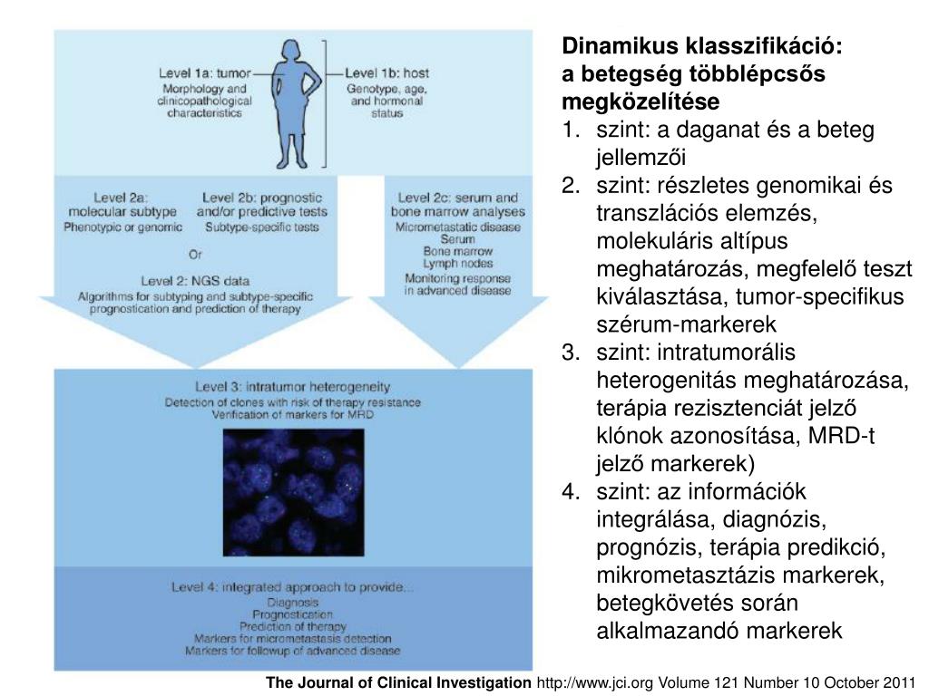 rák intratumor genetikai heterogenitás oxyurosis öröm