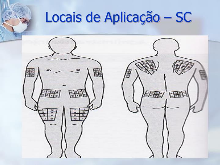 PPT - Cuidados de Enfermagem na Administração de Medicamentos ...