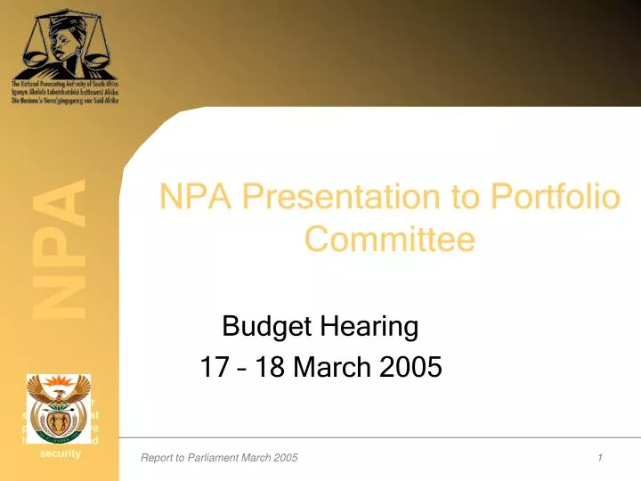 npa presentation to portfolio committee n.