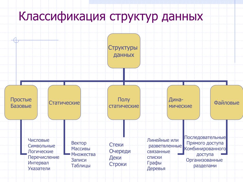 Элементы информации пример. Структуры данных в программировании. Типовые структуры данных. Что определяет структура данных. Простые базовые структуры данных.