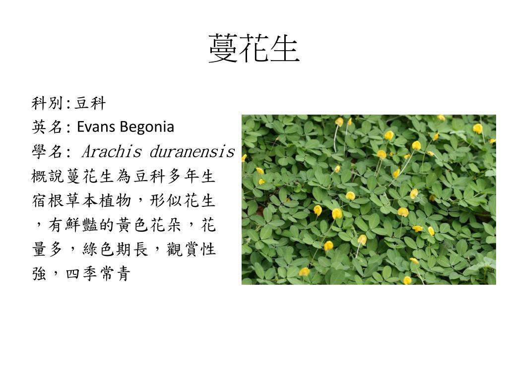 Ppt 造園識別報告powerpoint Presentation Free Download Id Ppt 造園識別報告powerpoint Presentation Free Download Id