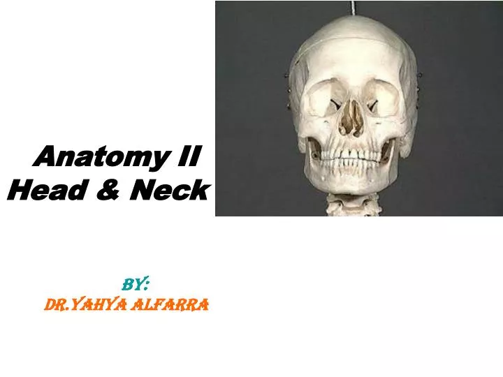 anatomy ii head neck by dr yahya alfarra n.