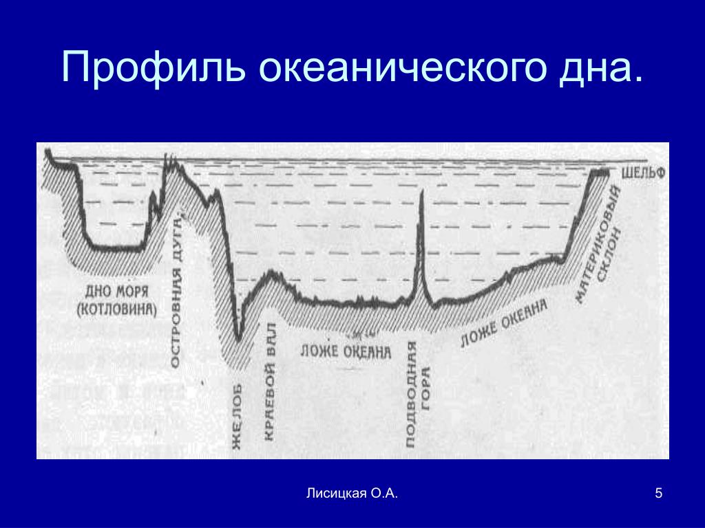 Рельеф дна океана 5 класс. Профиль дна мирового океана 5 класс география. Профиль рельефа дна индийского океана. Профиль дна мирового океана схема. Рельеф дна океана схема.