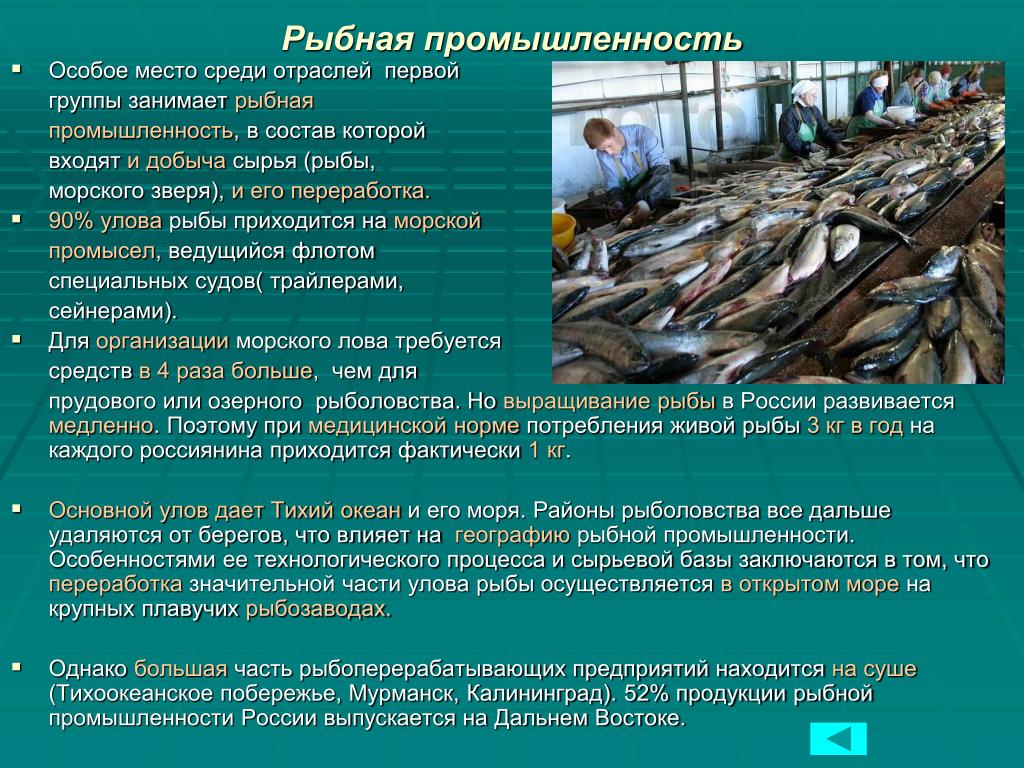 Какой промысел был распространен в районе астрахани. Особенности рыбной промышленности. Рыбная промышленность России. Рыбная промышленность развита в. Рыбная промышленность продукция выпускаемая.
