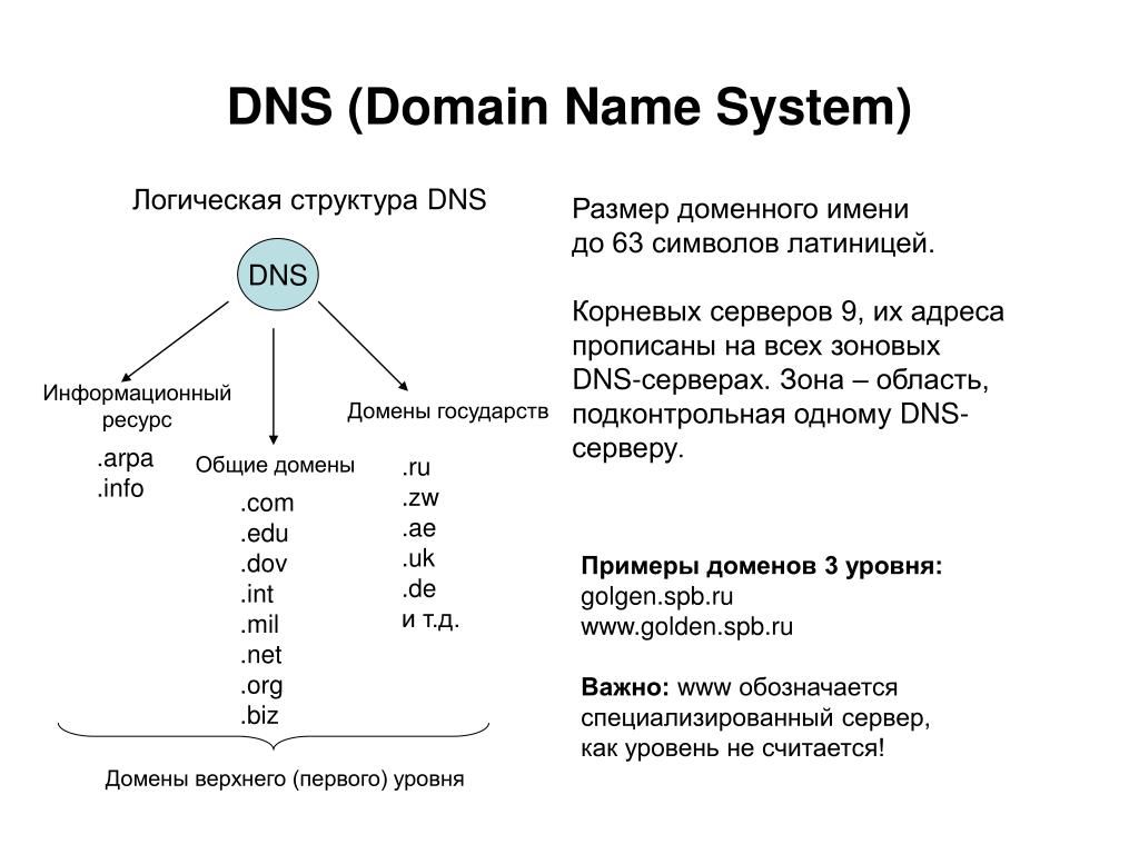 Номер домена. DNS доменная система. DNS Доменные имена. ДНС доменная система имен. DNS структура доменных имен.