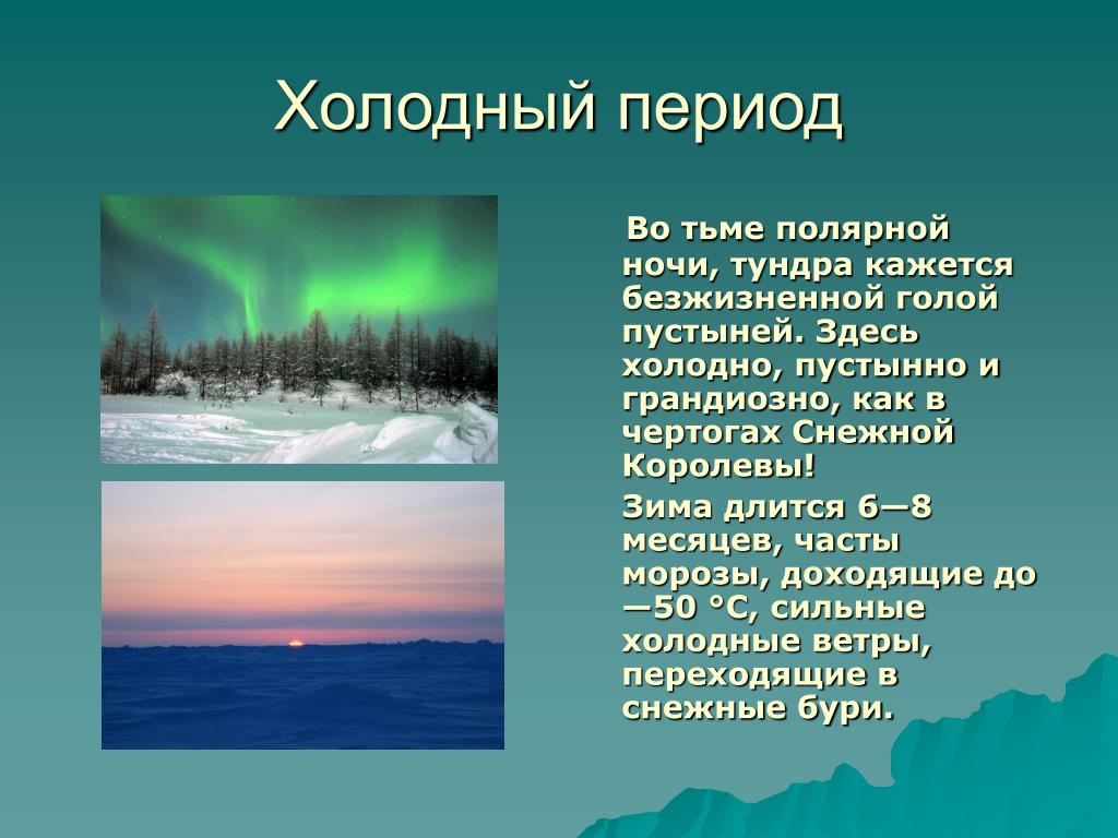 Текст полярной ночью в тундре когда солнце. Климат тундры. Тундра презентация. Тундра природная зона. Климат тундры в России.