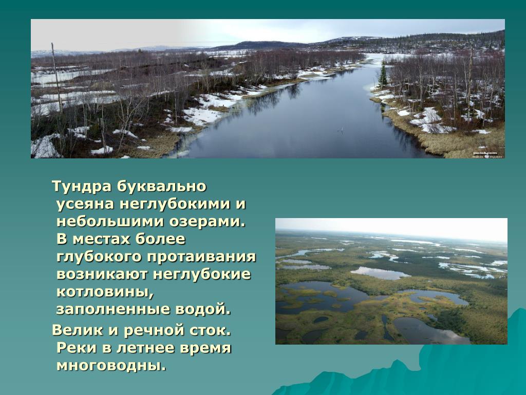 Неглубокое место. Воды тундры. Река в тундре. Реки и озера тундры. Воды тундры в России.