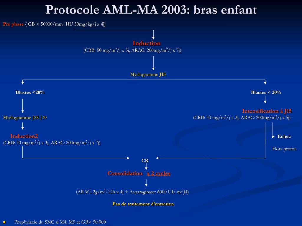 PPT - Les Leucémies Aigues Myeloblastiques de l’enfant Evaluation du ...