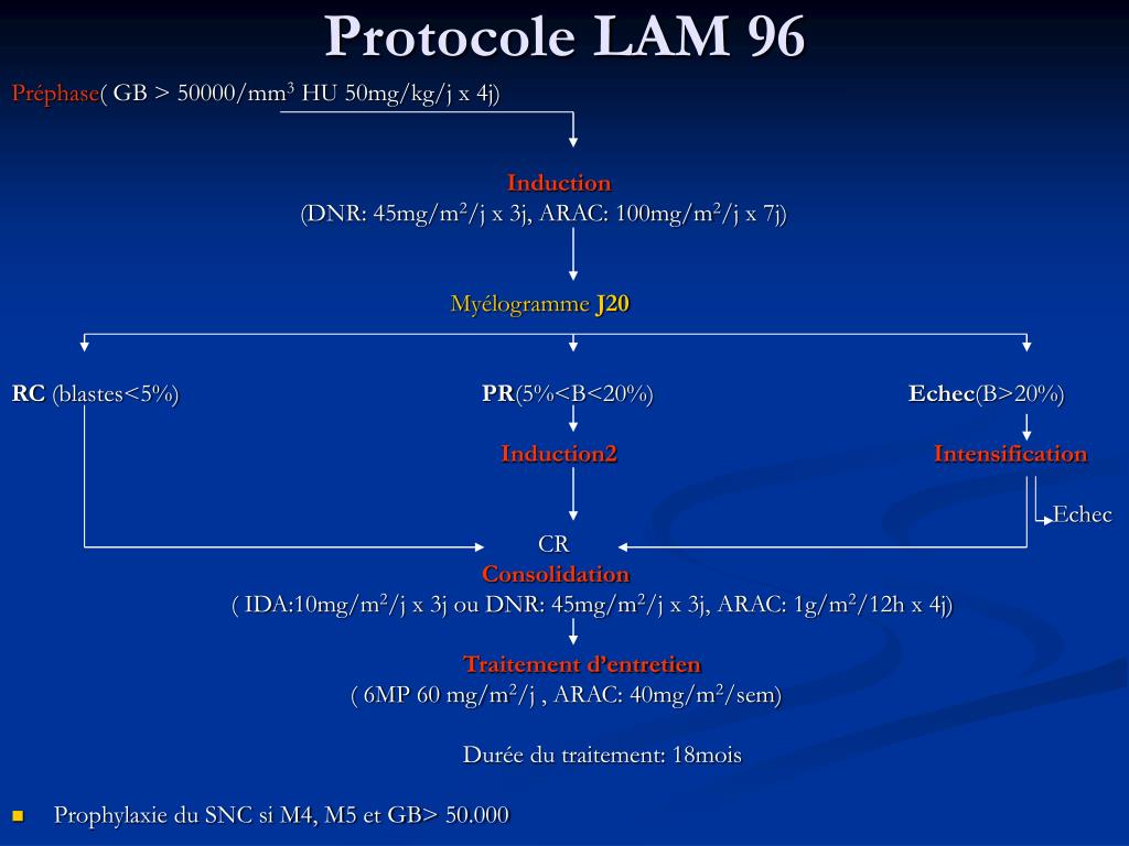 PPT - Les Leucémies Aigues Myeloblastiques de l’enfant Evaluation du ...