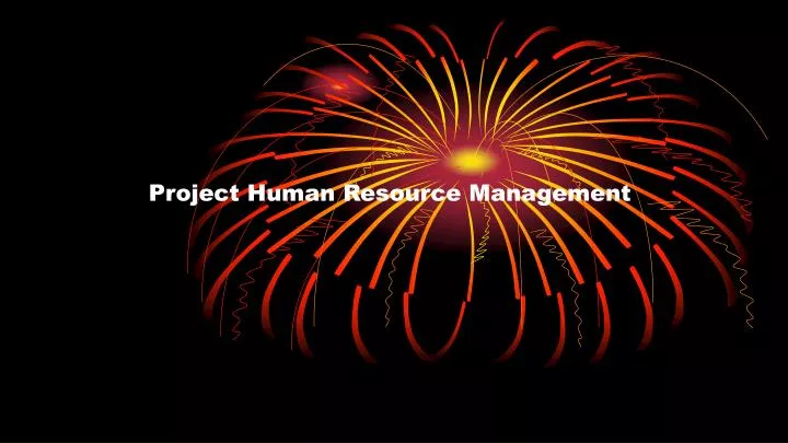 project human resource management n.
