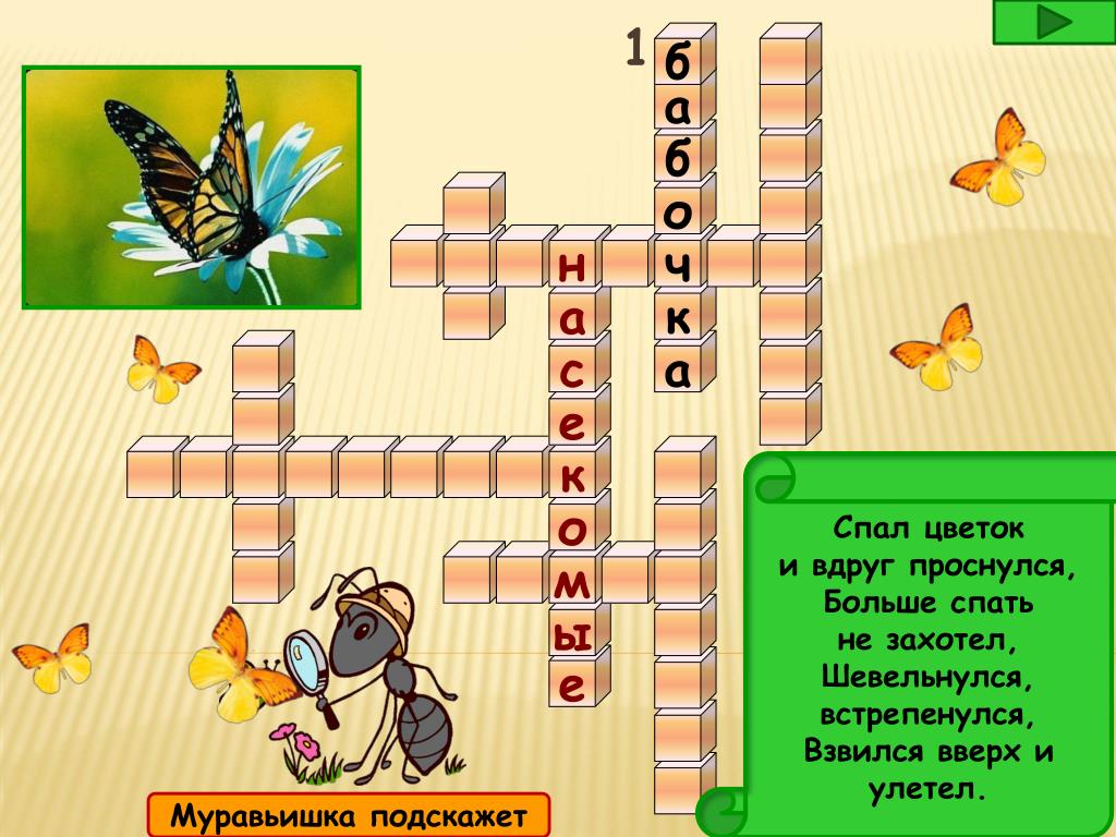 Спал цветок и вдруг проснулся шевельнулся. Кроссворд насекомые. Кроссворд про насекомых для детей. Кроссворд детский насекомые. Кроссворд насекомые для дошкольников.