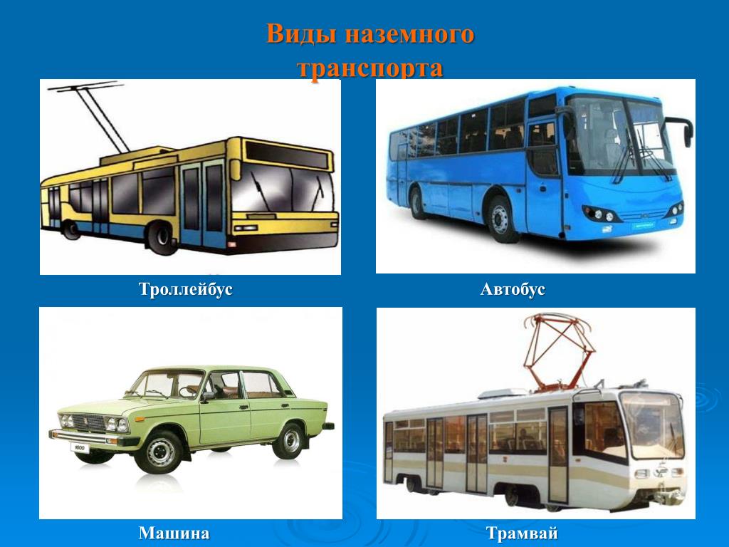 Маршрутного такси троллейбусов и автобусов