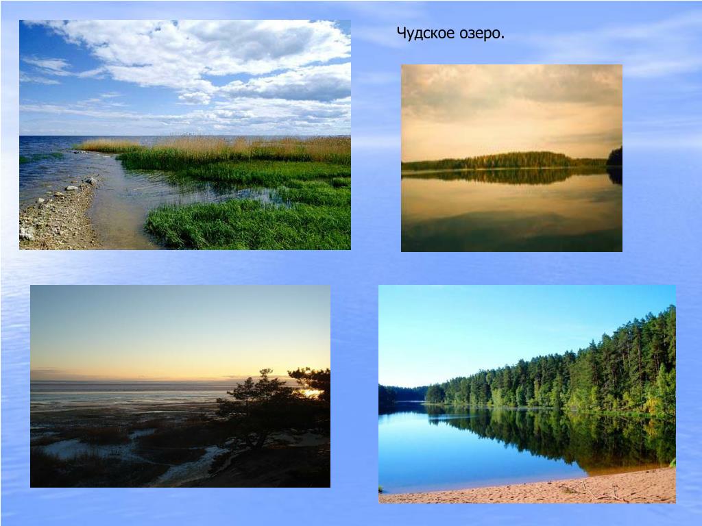 Какие озера находятся на восточно европейской равнине. Чудское озеро русская равнина. Реки и озера Восточно европейской равнины. Восточно европейская равнина озера Чудское. Озера Восточно европейской равнины.