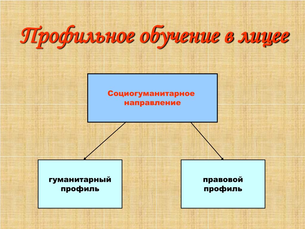 Гуманитарное направление. Направления гуманитарного профиля. Направленности гуманитарного профиля. Социогуманитарное.