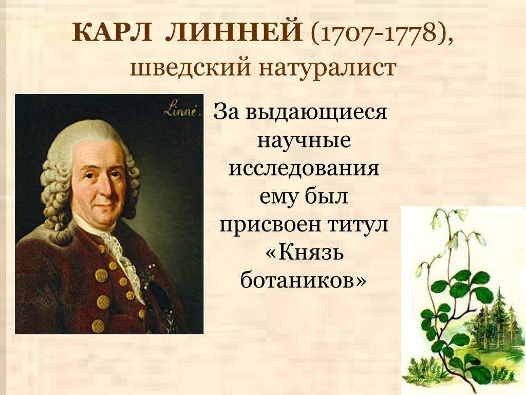 Шведский ботаник. К.Линней - (1707-1778).