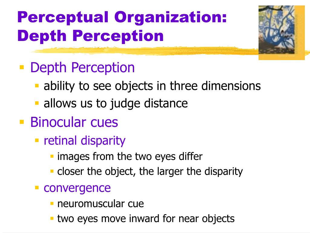perceptual organisation in psychology