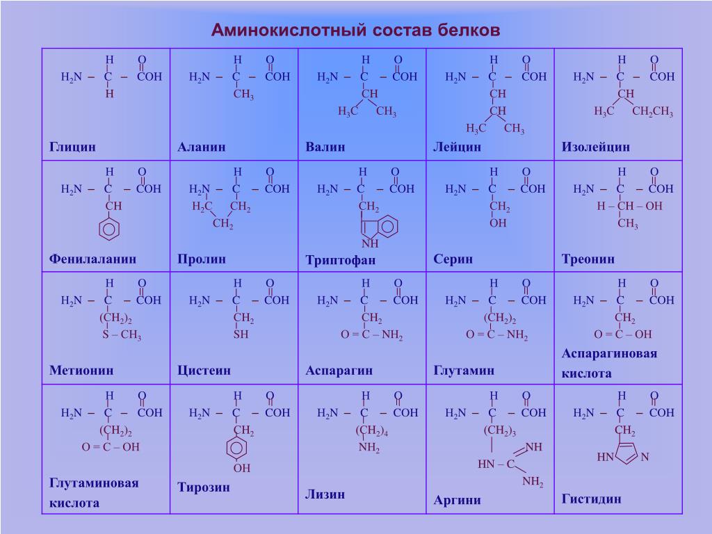 10 формул аминокислот. Альфа аминокислоты входящие в состав белков. Таблица 20 аминокислот химия. 20 Основных Альфа аминокислот. Строение 20 аминокислот.
