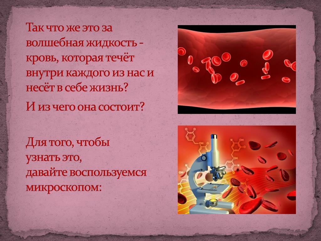 Как выглядит кровь внутри PPT - Кровь и её состав PowerPoint Presentation, free download - ID:5997203