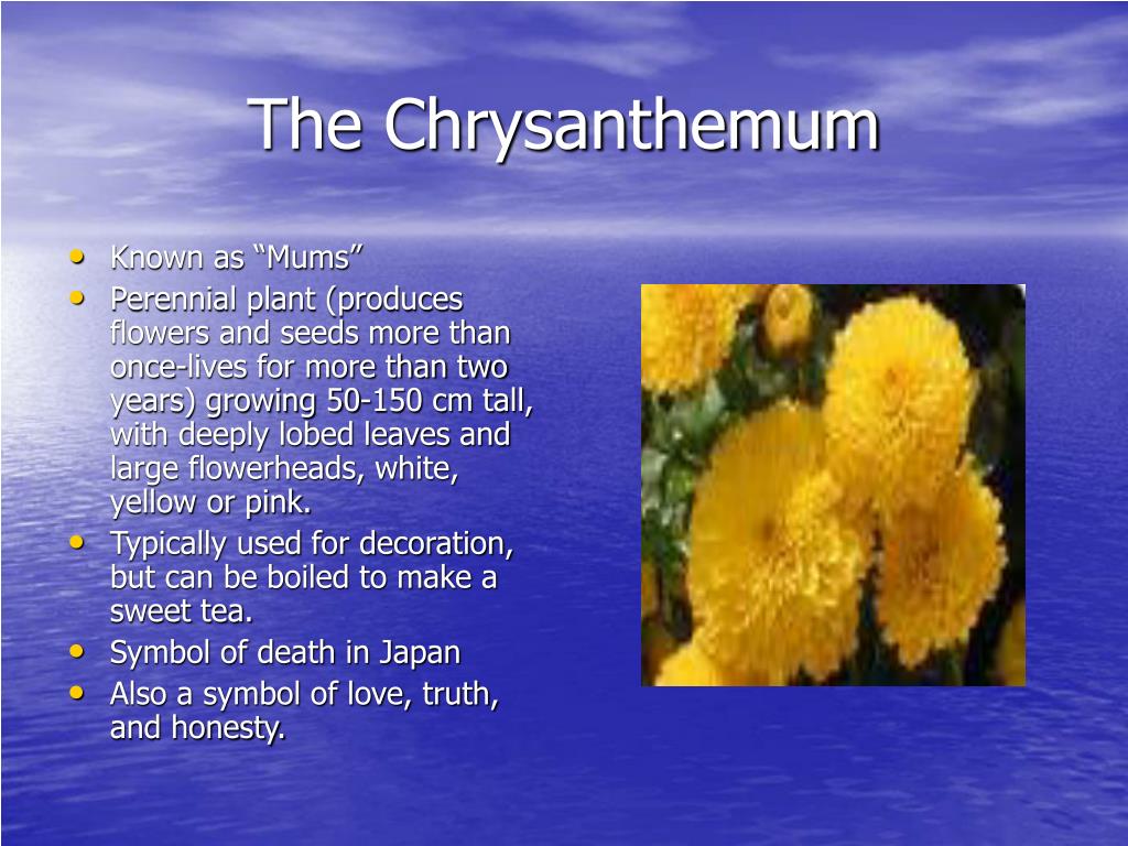 Gender Roles In The Chrysanthemums And Good
