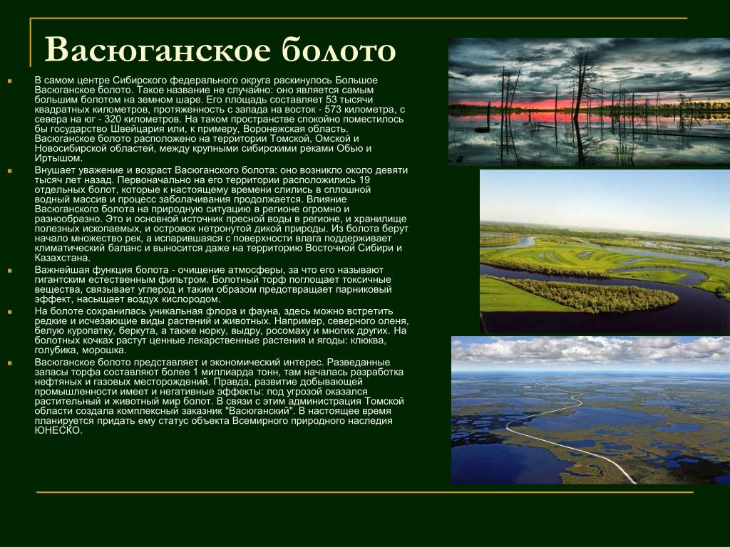 Как раньше называли болото. Васюганские болота, Западная Сибирь. Васюганский заповедник в Новосибирской области. Васюганские болота в Новосибирской области. Васюганские болота на карте Западной Сибири.