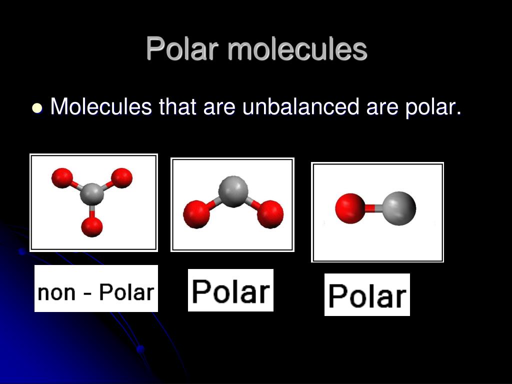 PPT - Discussion: Lewis Structures and VSEPR Theory PowerPoint ...