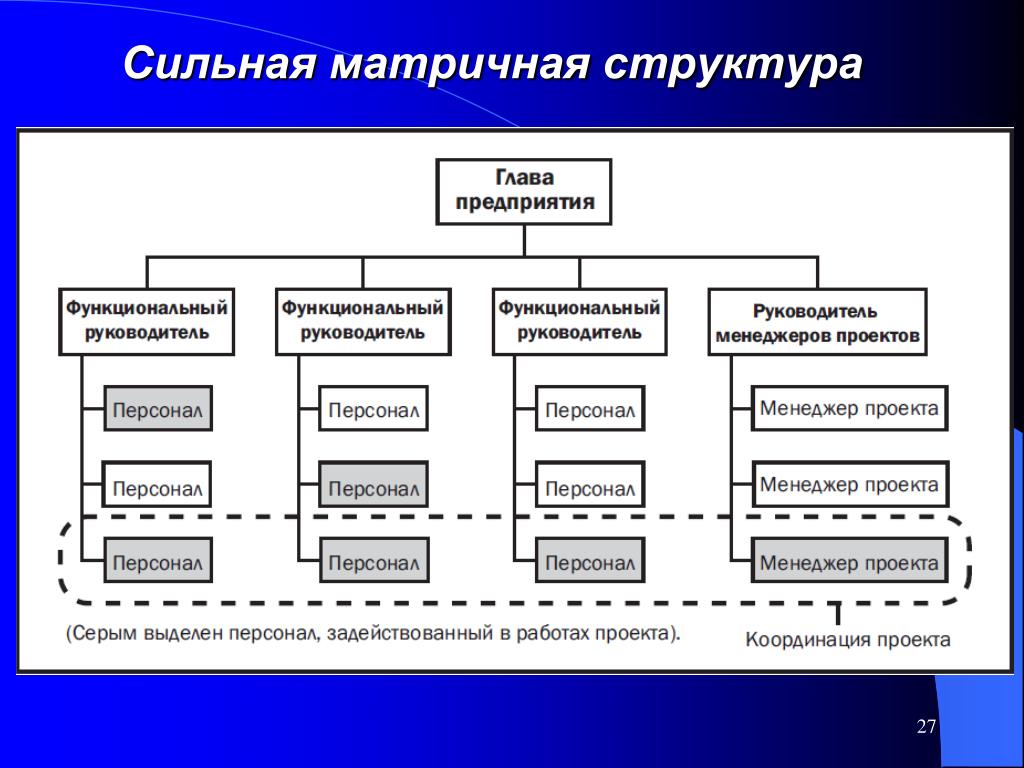 Структуры, стейкхолдеры, матрицы. Фундаментальные идеи проектного управления