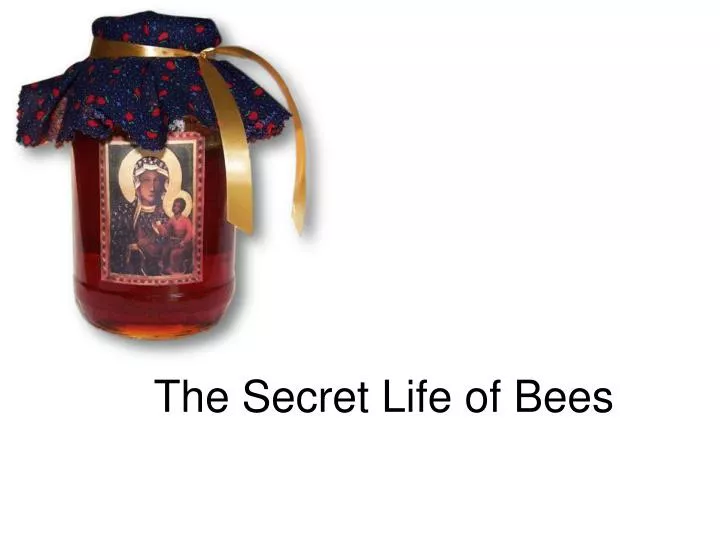 the secret life of bees symbolism the secret life of bees symbolism