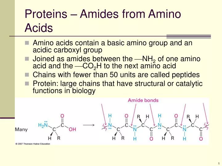 PPT Proteins Amides from Amino Acids PowerPoint Presentation, free