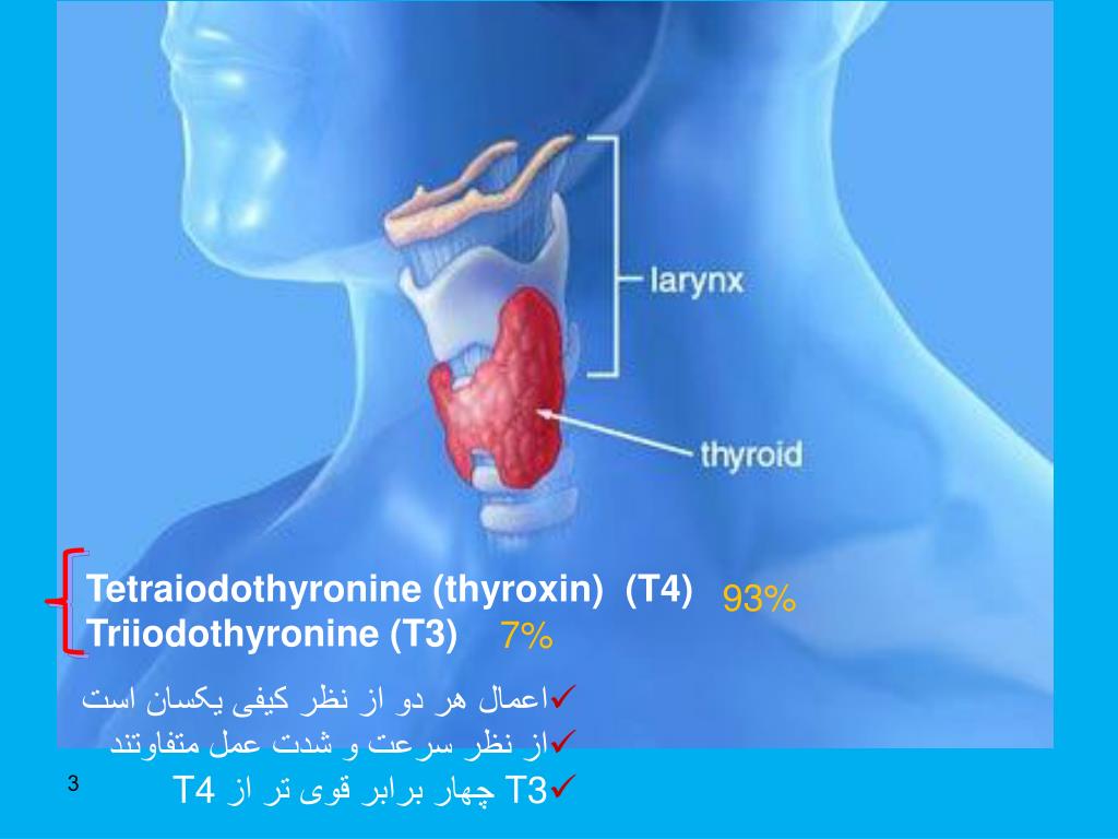 PPT - Thyroid Gland PowerPoint Presentation, free download - ID:6006359