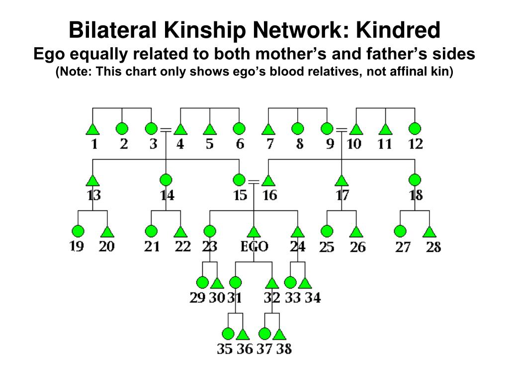 Bilateral Kinship Chart