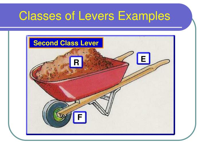 Classes Of Levers Examples