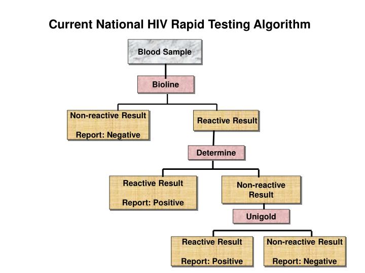 PPT HIV Testing Quality Assurance and Quality Control PowerPoint