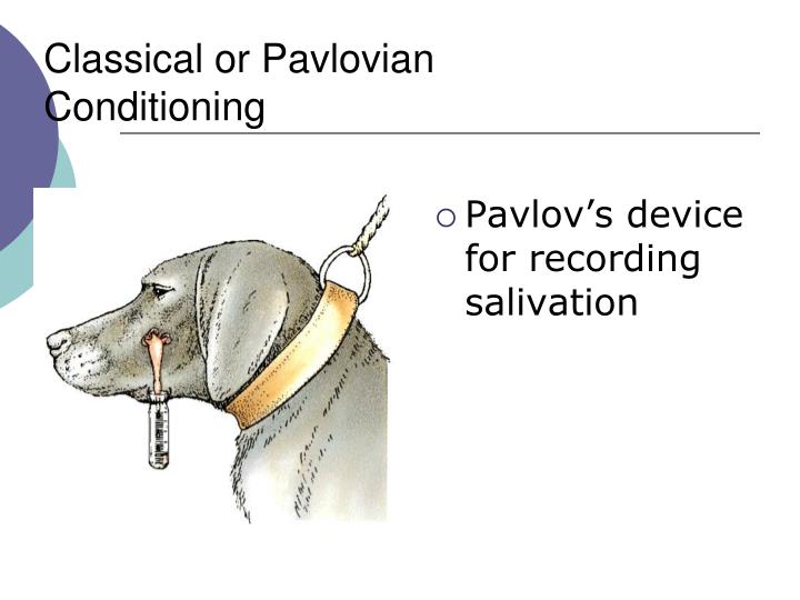 the researcher responsible for discovering classical conditioning was Psychological behaviorism is a research program were responsible for the titles of behaviorism's leading operant or classical conditioning in. the researcher responsible for discovering classical conditioning was Psychological behaviorism is a research program were responsible for the titles of behaviorism's leading operant or classical conditioning in.