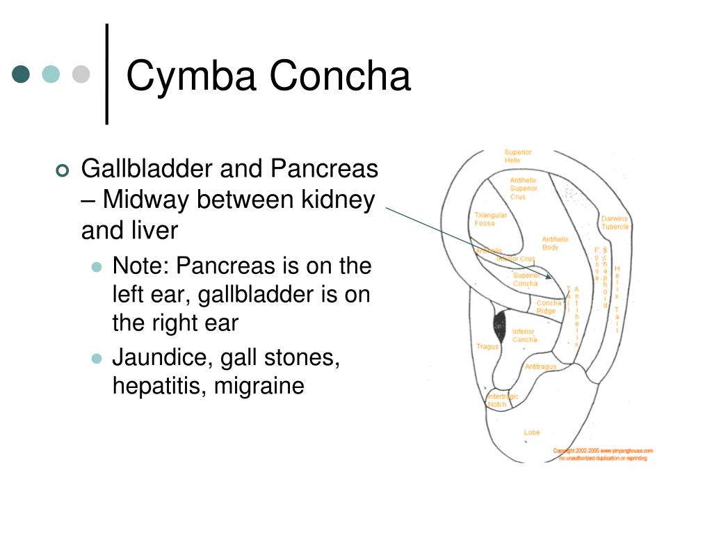 PPT Auricular Acupuncture PowerPoint Presentation Free Download ID PPT Auricular Acupuncture PowerPoint Presentation Free Download ID