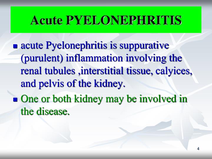 PPT - Pyelonephritis DR: Gehan Mohamed PowerPoint Presentation - ID:6010250