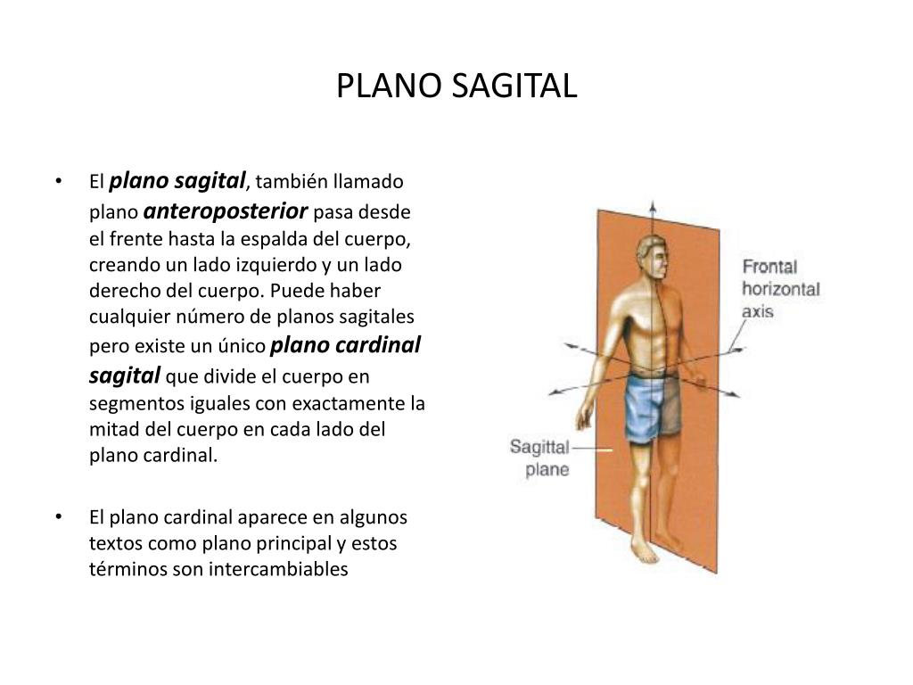 PPT PLANOS Y EJES DEL CUERPO HUMANO PowerPoint Presentation Free 