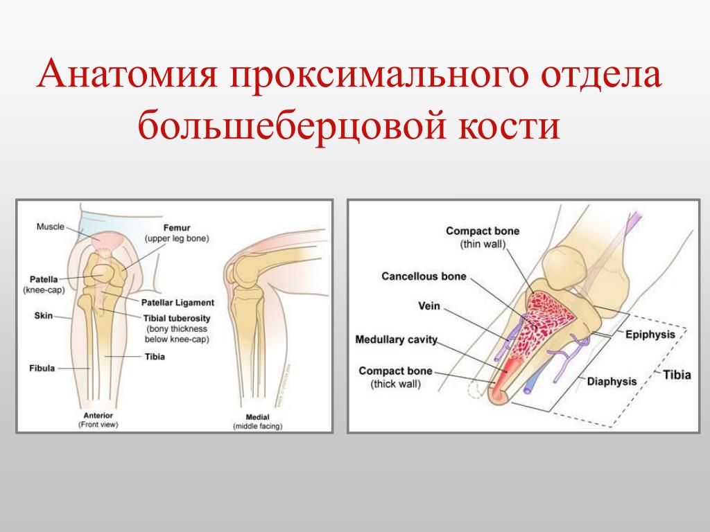 Изменение кортикального слоя? Портал радиологов