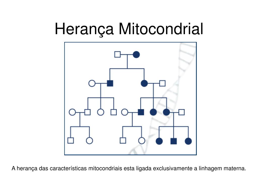 PPT - Genética Relacionada ao Sexo PowerPoint Presentation, free ...