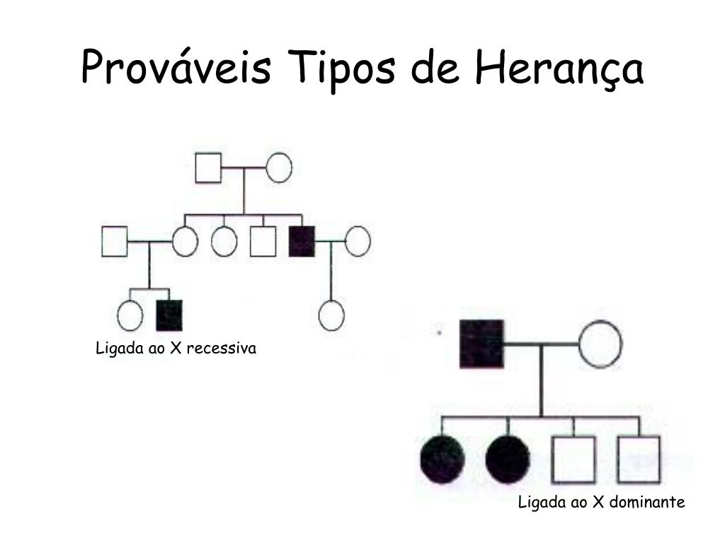 PPT - Genética Relacionada ao Sexo PowerPoint Presentation, free ...