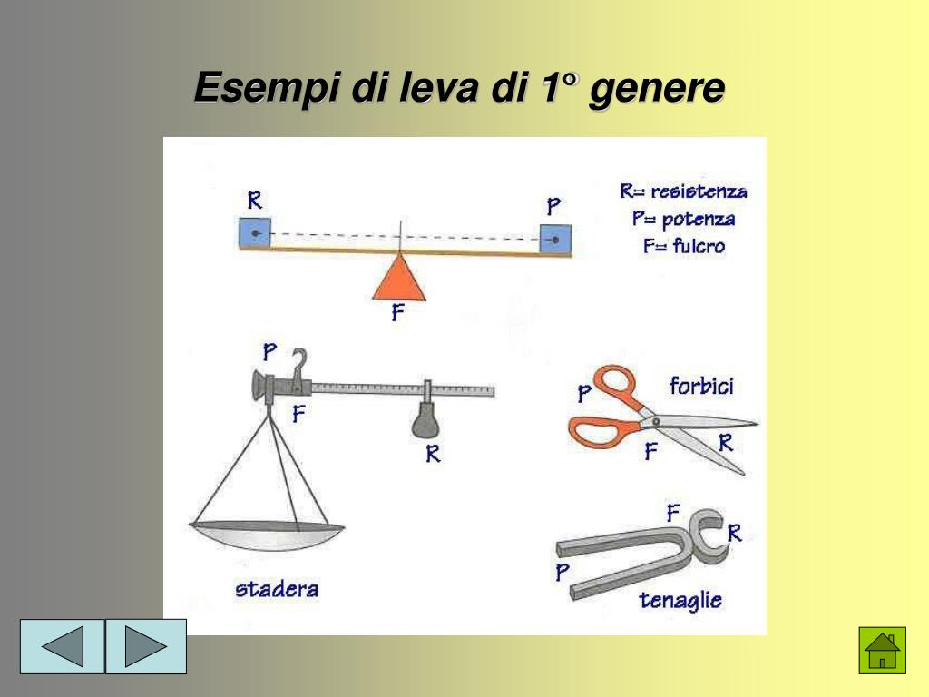Tipi Di Leve 1 2 3 Genere PPT - LA LEVA PowerPoint Presentation, free download - ID:6013590