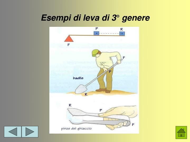 Tipi Di Leve 1 2 3 Genere PPT - LA LEVA PowerPoint Presentation - ID:6013590