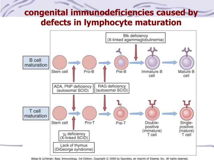 PPT - Congenital And Acquire Immunodeficiency PowerPoint Presentation ...