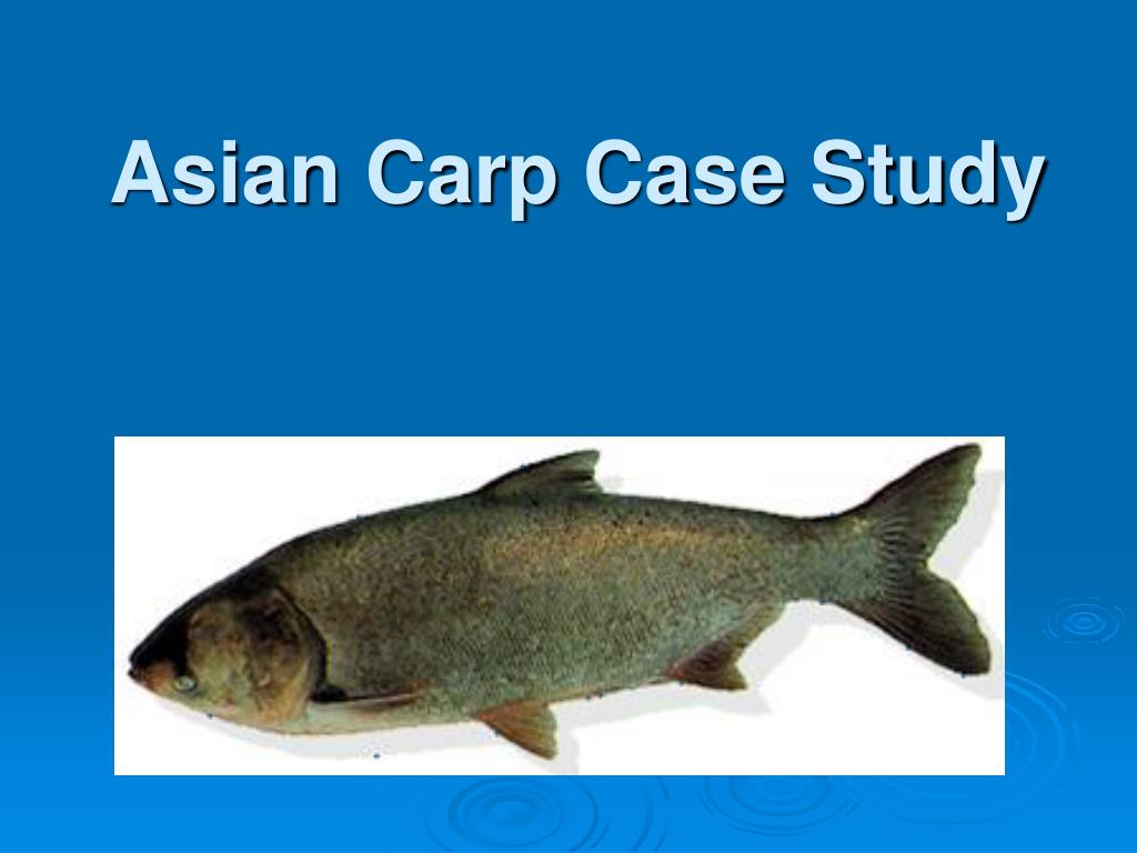 Asian carp case study data