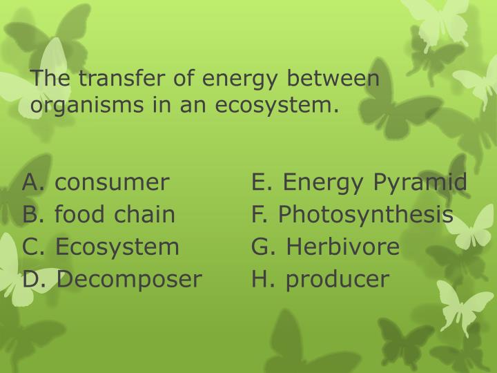 energy transfers which take place in living organisms essay The essay on energy transfers which take place in living organisms cristae (the folded inner membrane) to provide a large surface area of the membrane, thus allowing for more reactions to by a membrane, but they are close to the surface of the cell to catch the maximum amount of. energy transfers which take place in living organisms essay The essay on energy transfers which take place in living organisms cristae (the folded inner membrane) to provide a large surface area of the membrane, thus allowing for more reactions to by a membrane, but they are close to the surface of the cell to catch the maximum amount of.