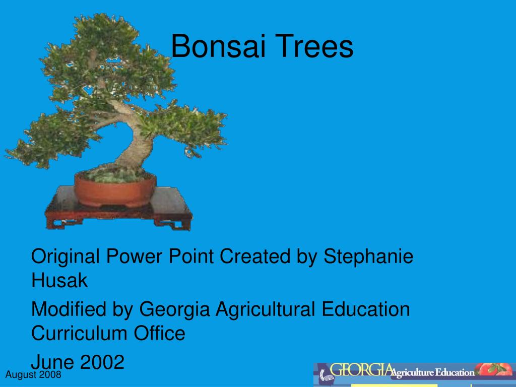 PPT - Bonsai Trees PowerPoint Presentation, free download - ID:6015317