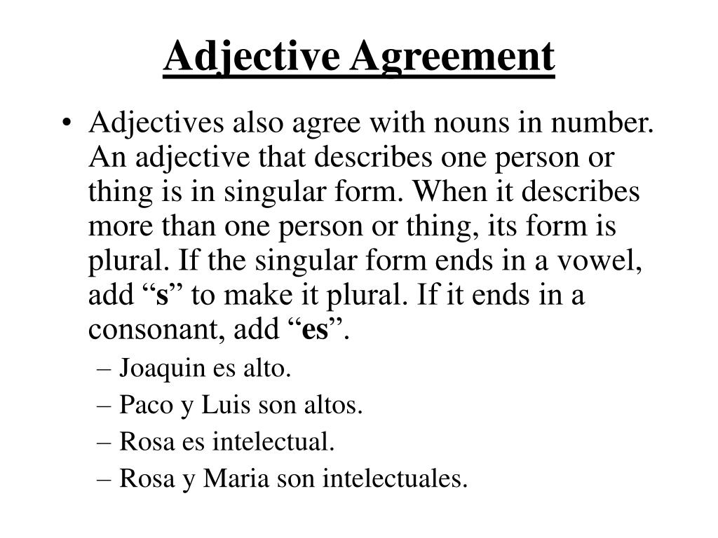 Adjective Agreement Worksheet Frenchpdf