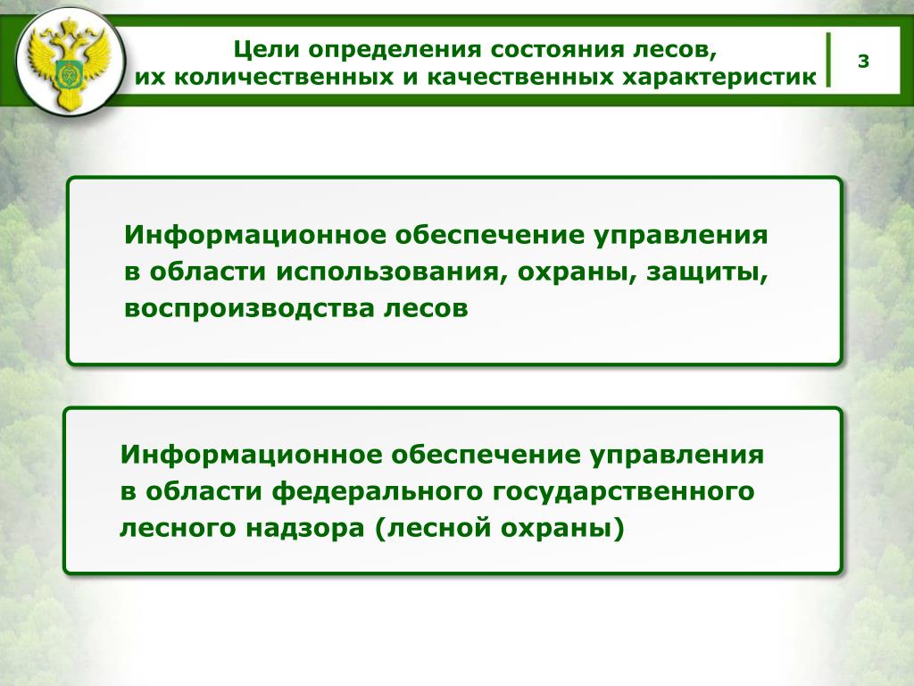 Проведение государственной экспертизы проектов освоения лесов расположенных на землях лесного фонда