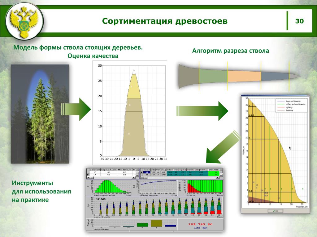 Лесная оценка. Возрастная структура древостоев. СОРТИМЕНТАЦИЯ древостоя. СОРТИМЕНТАЦИЯ ствола. Таксация запаса древостоя.