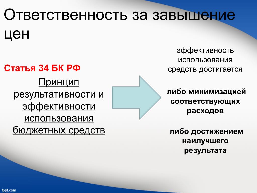 Принцип эффективности использования бюджетных