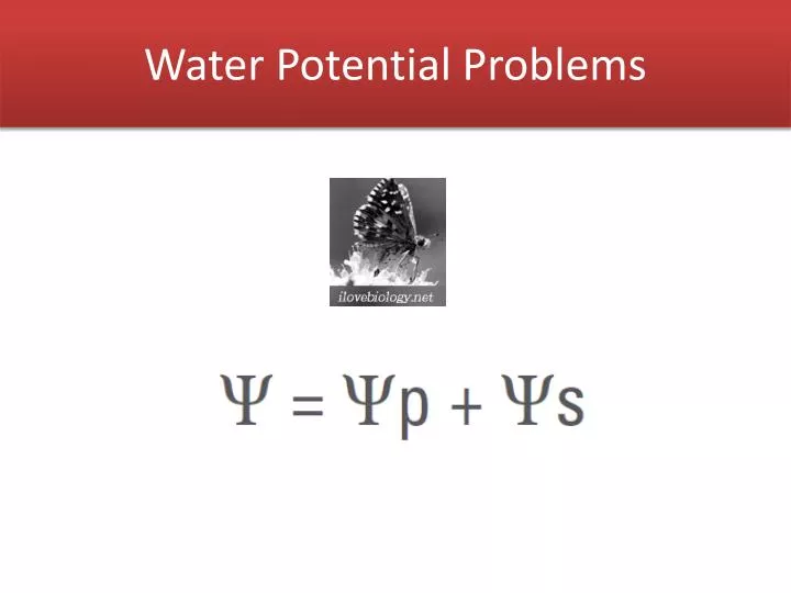PPT Water Potential Problems PowerPoint Presentation Free Download ID 6019266 Ppt water potential problems powerpoint presentation free download id 6019266